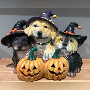 NWT Humane Society LED Halloween Witch Dog Trio Statue